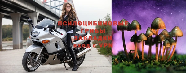 сатива Армянск