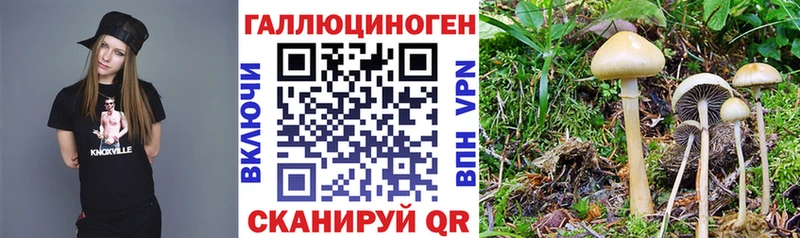 kraken как войти  сайты даркнета наркотические препараты  Галлюциногенные грибы прущие грибы  Воркута 